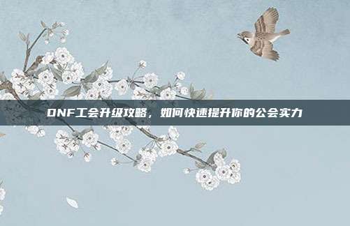 DNF工会升级攻略，如何快速提升你的公会实力
