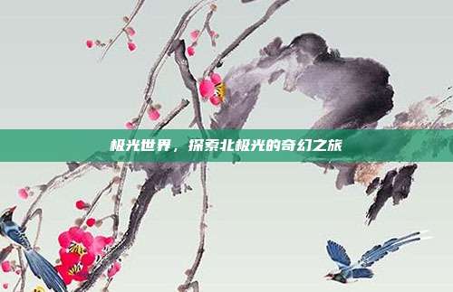 极光世界，探索北极光的奇幻之旅
