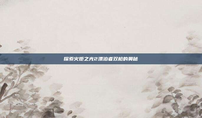 探索火炬之光2漂泊者双枪的奥秘