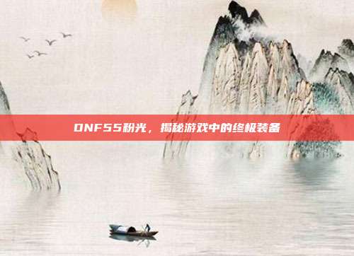 DNF55粉光，揭秘游戏中的终极装备