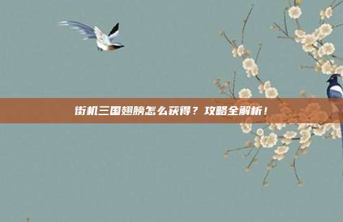 街机三国翅膀怎么获得？攻略全解析！