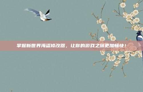 掌握新世界海盗修改器，让你的游戏之旅更加畅快！