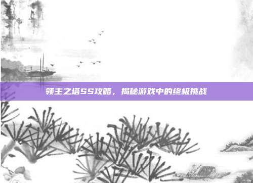 领主之塔SS攻略，揭秘游戏中的终极挑战