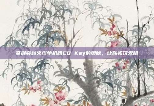 掌握穿越火线单机版CD Key的奥秘，让你畅玩无阻