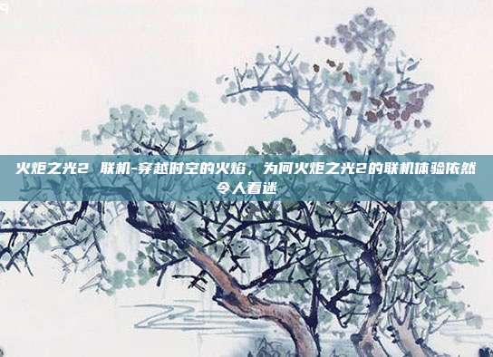 火炬之光2 联机-穿越时空的火焰，为何火炬之光2的联机体验依然令人着迷