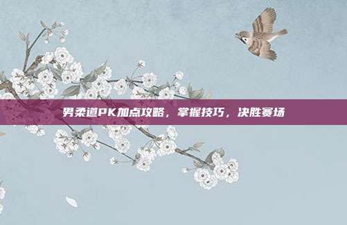 男柔道PK加点攻略，掌握技巧，决胜赛场