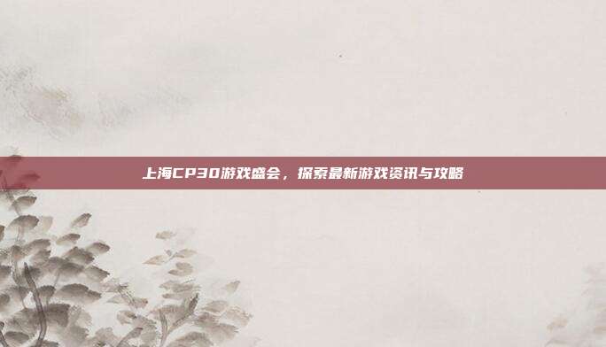 上海CP30游戏盛会，探索最新游戏资讯与攻略
