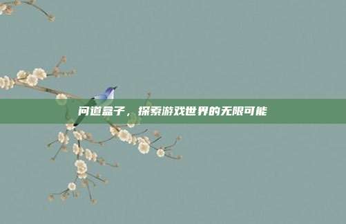 问道盒子，探索游戏世界的无限可能