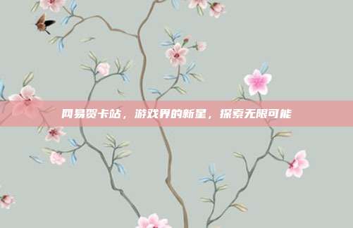 网易贺卡站，游戏界的新星，探索无限可能