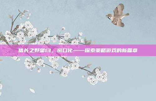 信长之野望13，窗口化——探索策略游戏的新篇章