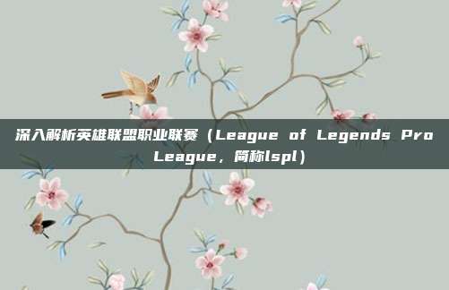 深入解析英雄联盟职业联赛（League of Legends Pro League，简称lspl）
