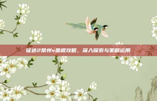 征途2常州v恶棍攻略，深入探索与策略运用