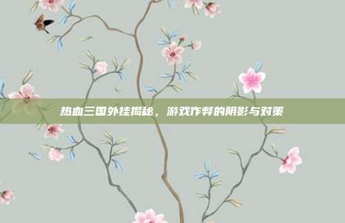 热血三国外挂揭秘，游戏作弊的阴影与对策