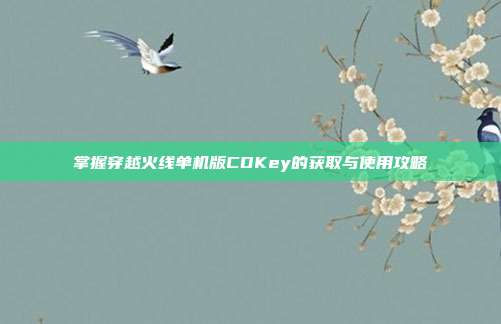 掌握穿越火线单机版CDKey的获取与使用攻略