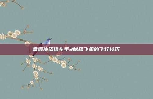 掌握侠盗猎车手3秘籍飞机的飞行技巧