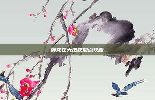 御龙在天法杖加点攻略