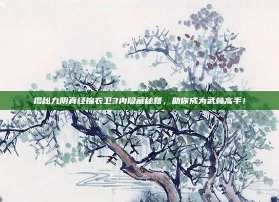 揭秘九阴真经锦衣卫3内隐藏秘籍，助你成为武林高手！