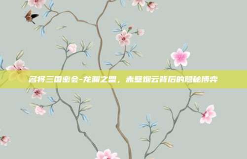 名将三国密会-龙渊之盟，赤壁烟云背后的隐秘博弈