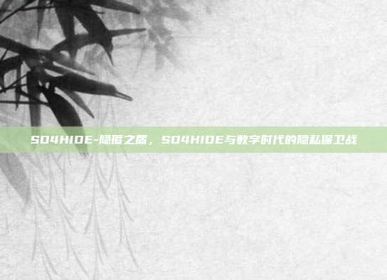 SD4HIDE-隐匿之盾，SD4HIDE与数字时代的隐私保卫战