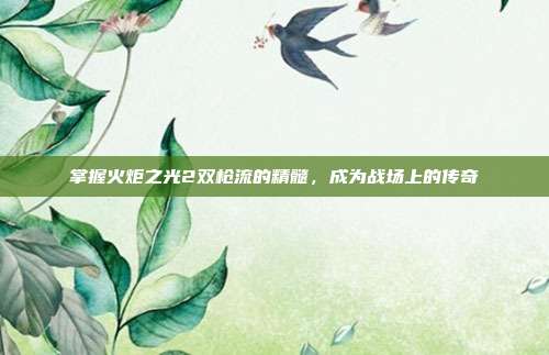 掌握火炬之光2双枪流的精髓,成为战场上的传奇
