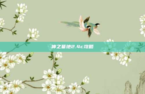 神之墓地2.4c攻略