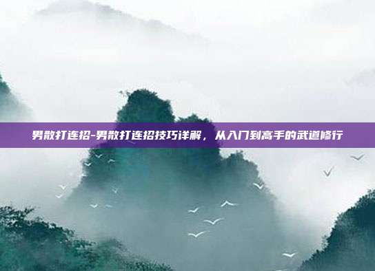 男散打连招-男散打连招技巧详解，从入门到高手的武道修行