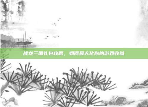 战龙三国礼包攻略,如何最大化你的游戏收益