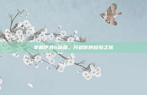 掌握伊苏6秘籍,开启你的冒险之旅