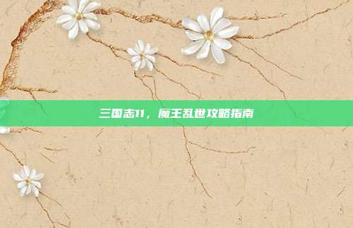 三国志11,魔王乱世攻略指南