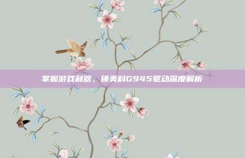掌握游戏利器,硕美科G945驱动深度解析