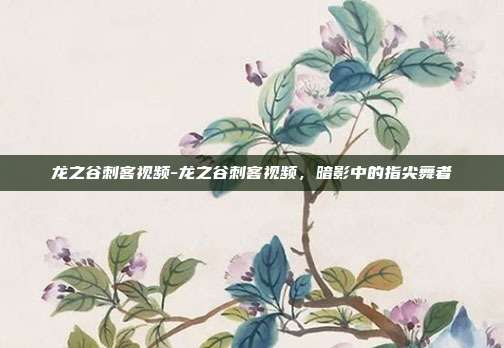 龙之谷刺客视频-龙之谷刺客视频，暗影中的指尖舞者