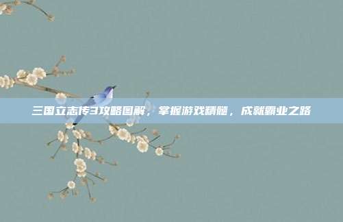 三国立志传3攻略图解，掌握游戏精髓，成就霸业之路
