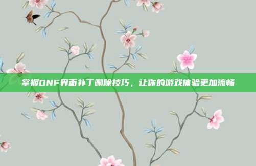 掌握DNF界面补丁删除技巧，让你的游戏体验更加流畅