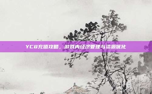 YC8充值攻略,游戏内经济管理与资源优化