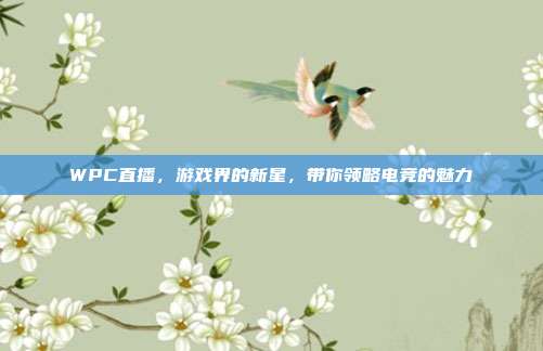 WPC直播,游戏界的新星,带你领略电竞的魅力