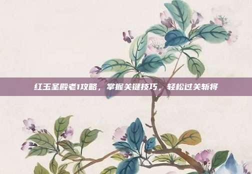 红玉圣殿老1攻略，掌握关键技巧，轻松过关斩将