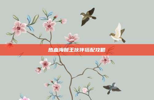 热血海贼王伙伴搭配攻略