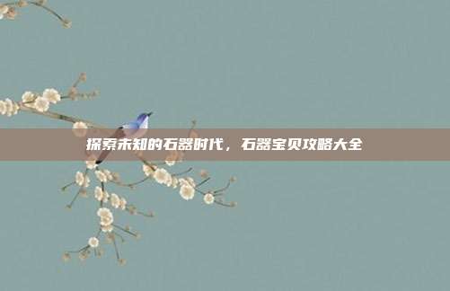 探索未知的石器时代，石器宝贝攻略大全