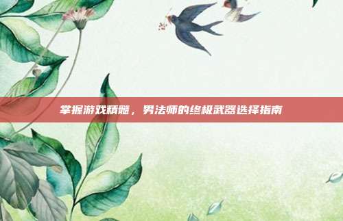 掌握游戏精髓,男法师的终极武器选择指南