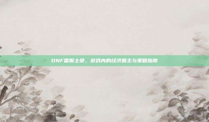 DNF国服土豪,游戏内的经济霸主与策略指南