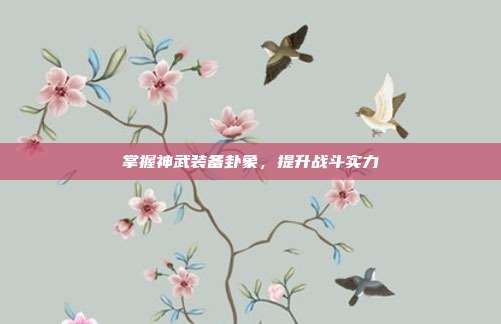 掌握神武装备卦象，提升战斗实力