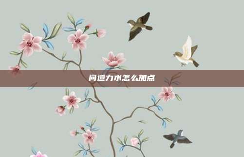 问道力水怎么加点