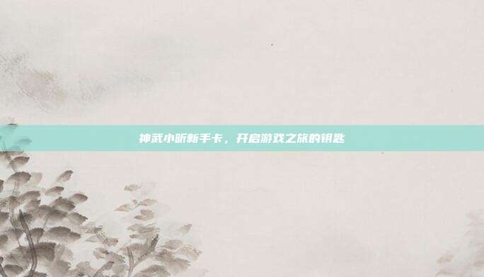 神武小昕新手卡,开启游戏之旅的钥匙