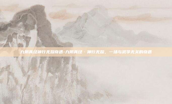 九阴真经神行无踪奇遇-九阴真经·神行无踪，一场与武学无关的奇遇