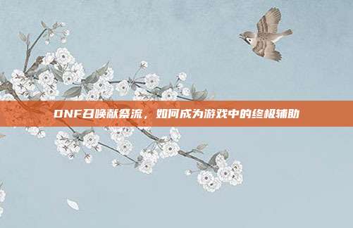 DNF召唤献祭流,如何成为游戏中的终极辅助