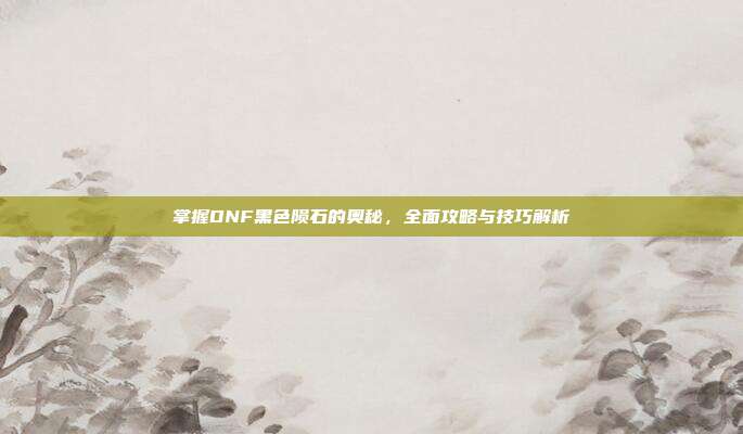 掌握DNF黑色陨石的奥秘,全面攻略与技巧解析