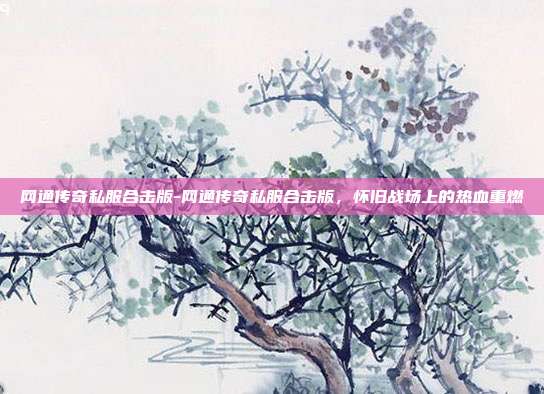 网通传奇私服合击版-网通传奇私服合击版，怀旧战场上的热血重燃