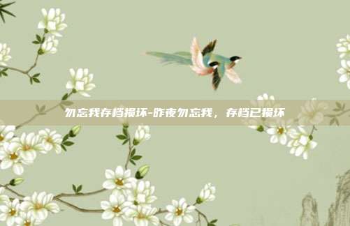 勿忘我存档损坏-昨夜勿忘我，存档已损坏