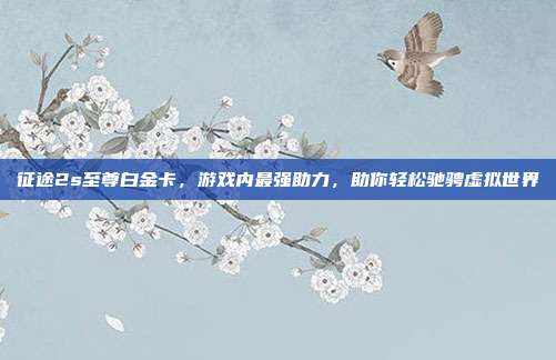 征途2s至尊白金卡,游戏内最强助力,助你轻松驰骋虚拟世界