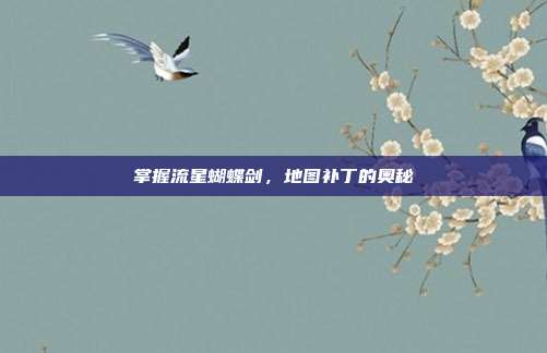 掌握流星蝴蝶剑,地图补丁的奥秘